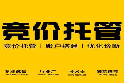 SEM服务托管实战案例：提升品牌知名度